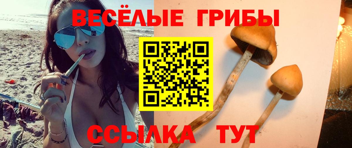 Псилоцибиновые грибы ЛСД  где найти наркотики  Псилоцибиновые грибы MAGIC MUSHROOMS  Дзержинский  Вход с VPN 